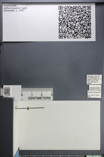 Media type: image;   Entomology 544869